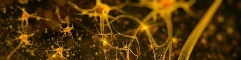 Neurons, Credit: The Omega Center
