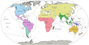 Terrestrial Realms and Regions Map Matthew Richardson